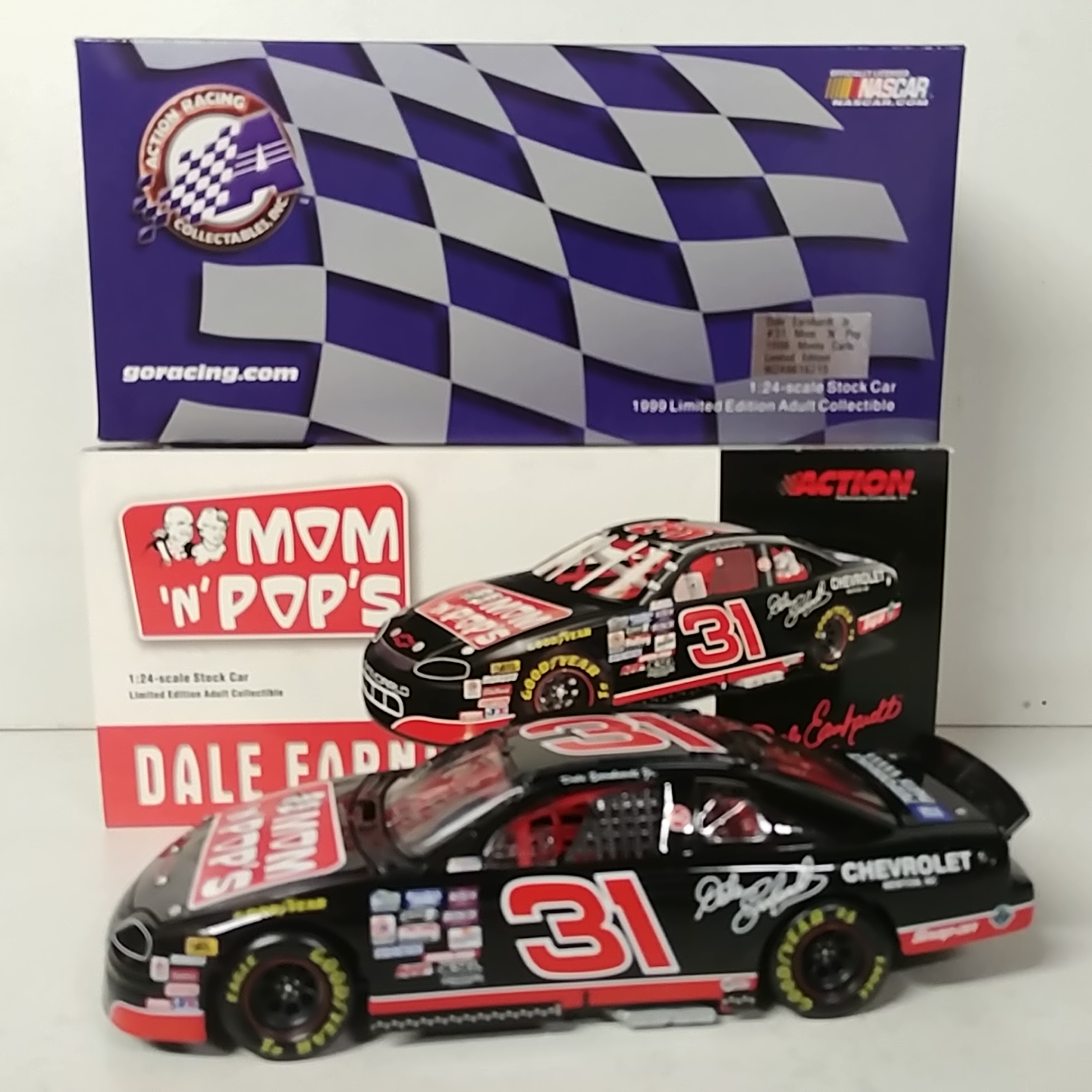 1996 Dale Earnhardt Jr 1/24th Mom -n- Pops Monte Carlo