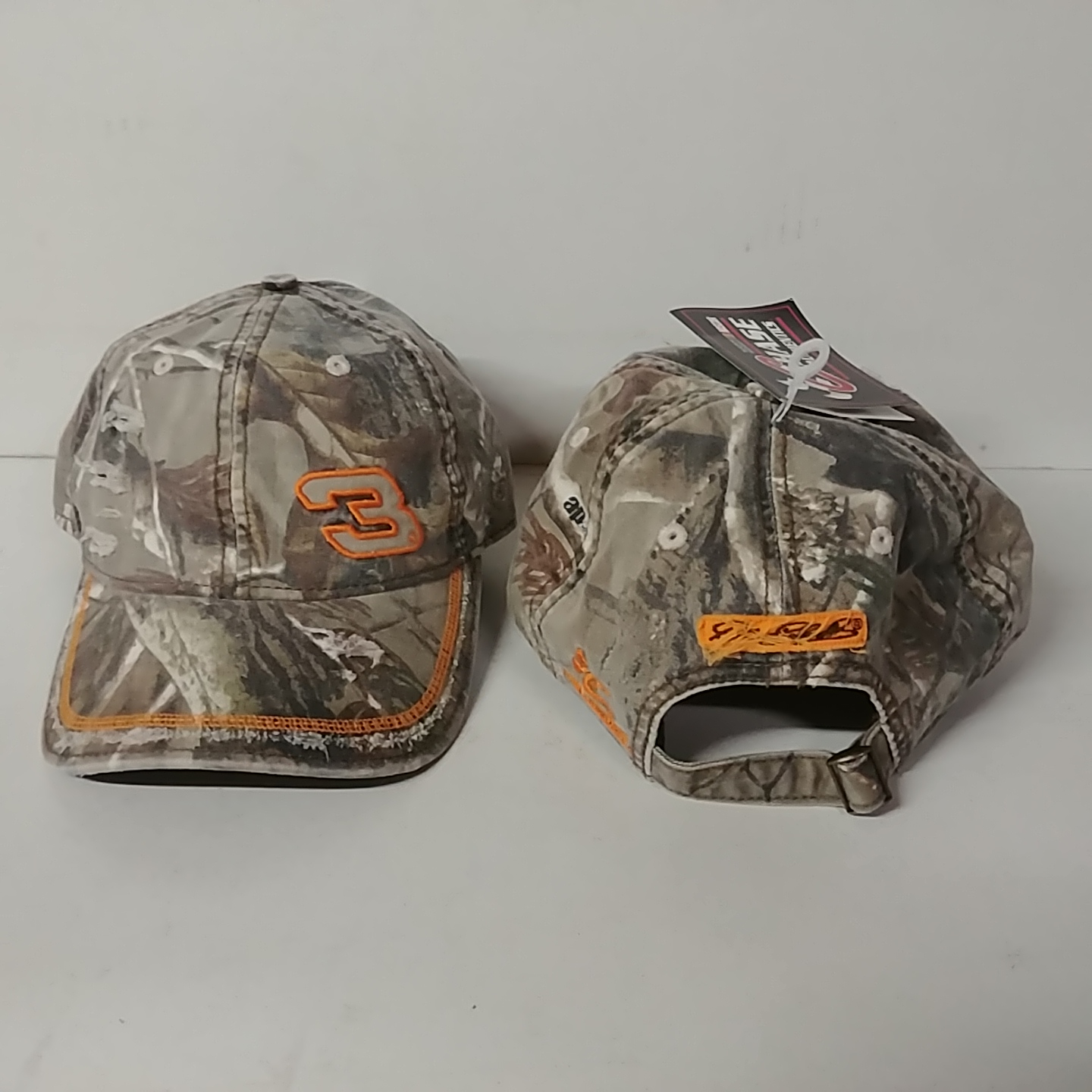 2008 Dale Earnhardt Realtree cap