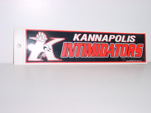 2001 Dale Earnhardt "Kannapolis Intimidators" bumper sticker