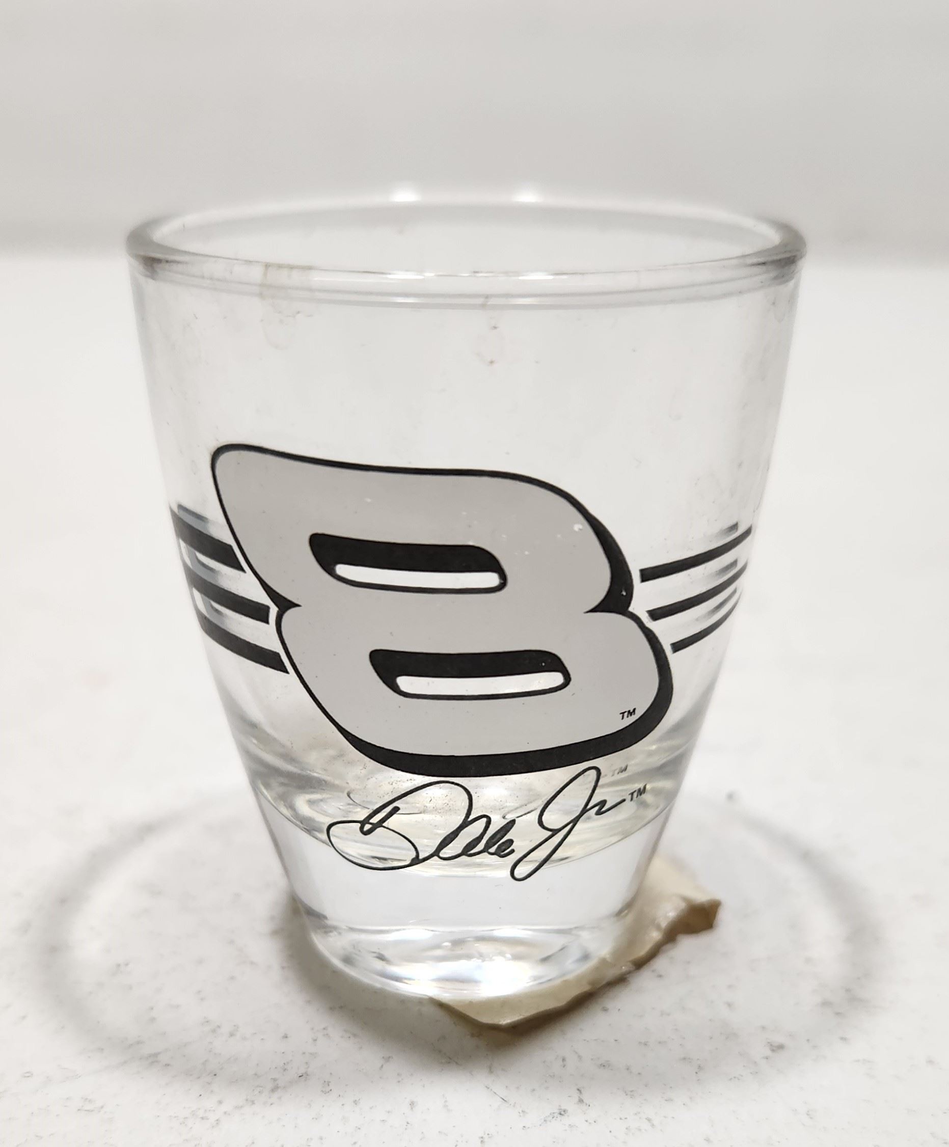 2004 Dale Earnhardt Jr Shotglass