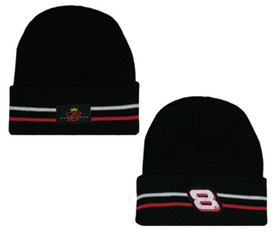 2005 Dale Earnhardt Jr #8 Beanie