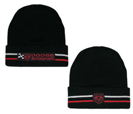 2005 Dodge Beanie