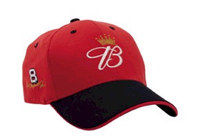 2003 Dale Earnhardt Jr Budweiser pit cap