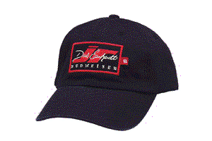 2003 Dale Earnhardt Jr Budweiser tab cap