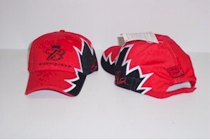 2004 Dale Earnhardt Jr Budweiser "Starburst" cap