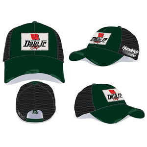 2008 Dale Earnhardt Jr "Trucker" Mesh cap