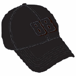 2010 Dale Earnhardt Jr Black "Stretch Fit" cap