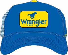 2010 Dale Earnhardt Jr Wrangler "Trucker" Mesh cap