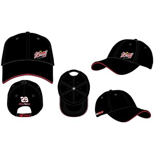 2011 Kevin Harvick Budweiser "Low Ride" twill cap