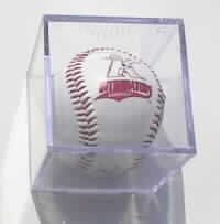 2001 Kannapolis Intimadators logo baseball