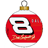 2002 Dale Earnhardt Jr #8 ornament