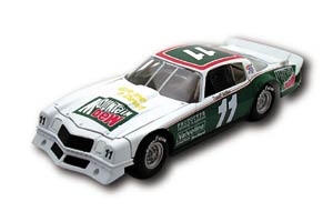 1981 Darrell Waltrip 1/24th Mt Dew ASA c/w car