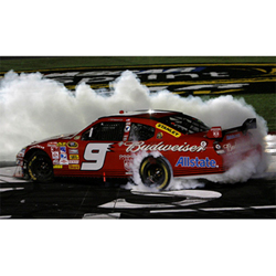 2008 Kasey Kahne 1/24th Budweiser "All-Star" Win car