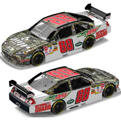 2009 Dale Earnhardt Jr 1/24th Realtree Fantasy car